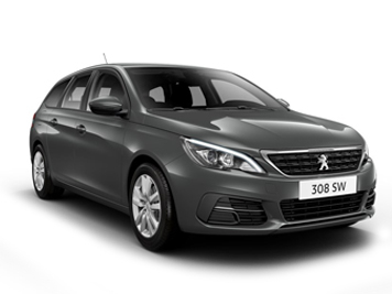 308 SW