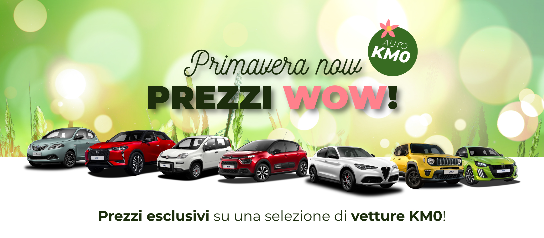 Scopri le offerte esclusive sulle vetture KM0 in pronta consegna!